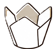 Tulip Kapsüller